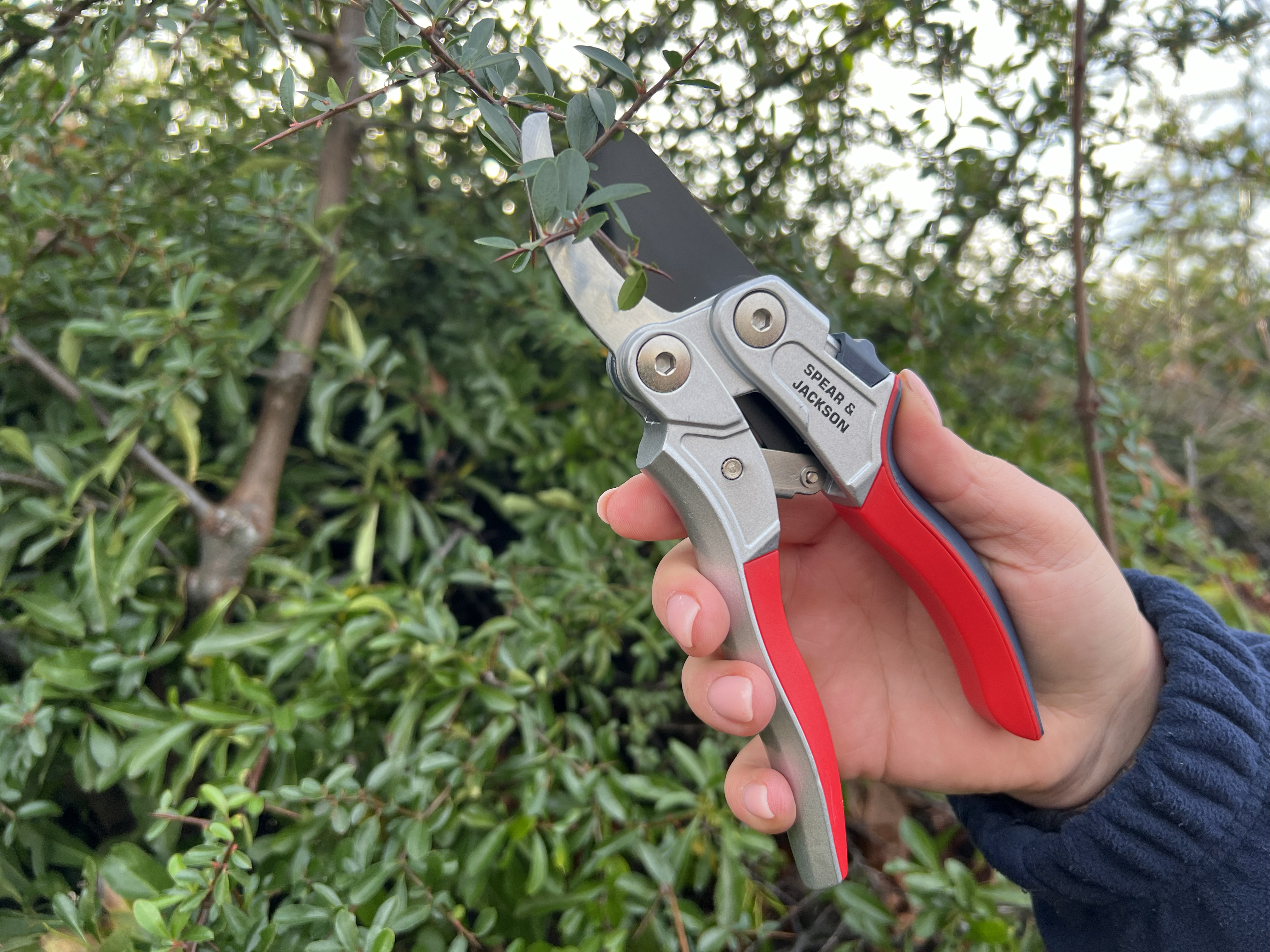 Secateurs Spear and Jackson